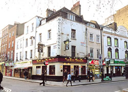 Molly Moggs, 2 and 4 Old Compton Street London W1D 4TA